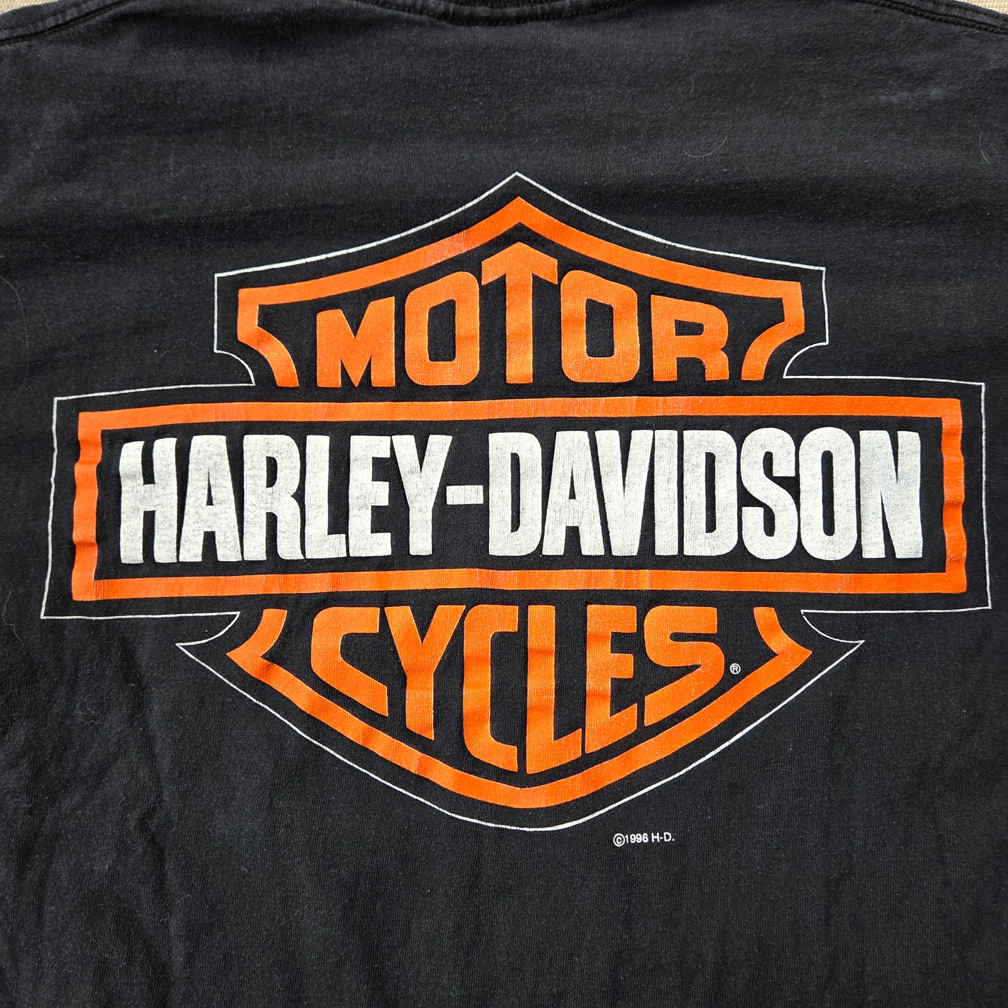 1996 Harley Davidson T Shirt Hottest Sound On The Road Medium 90s Flames
