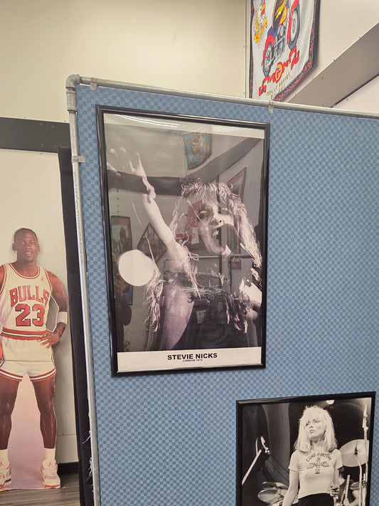 Stevie Nicks Framed Poster