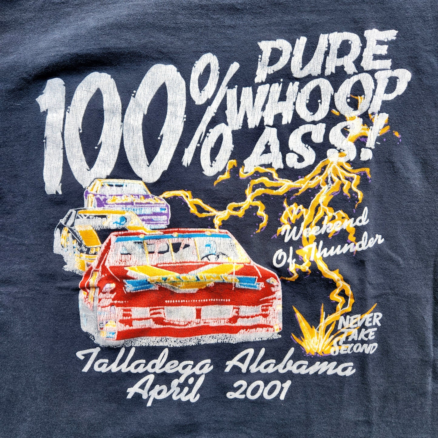 Vintage Talladega Alabama Shirt April 2001 Whoop Ass Faded Racing Party Beer Tee