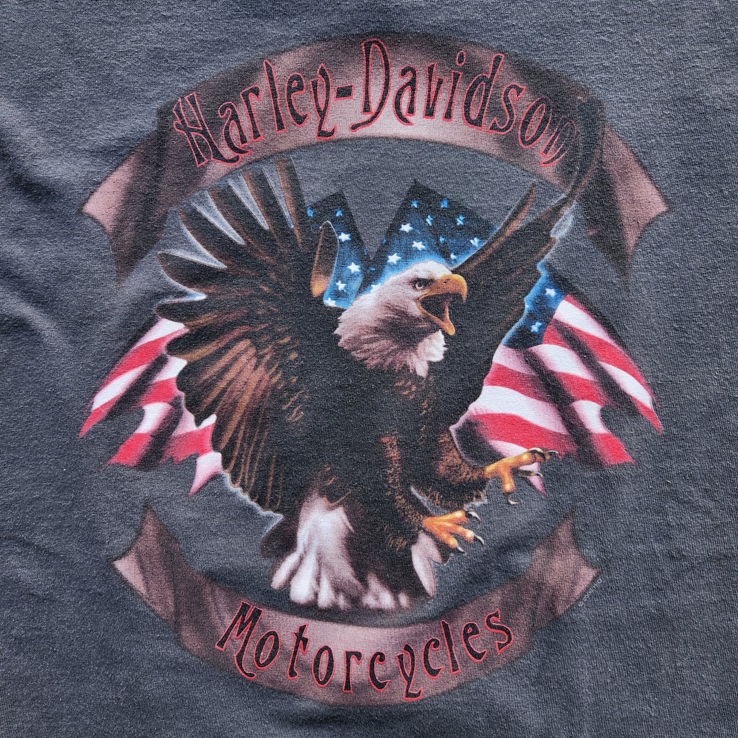 Harley Davidson Shirt Motorcycles Large Bald Eagle San Diego California Biker Tee