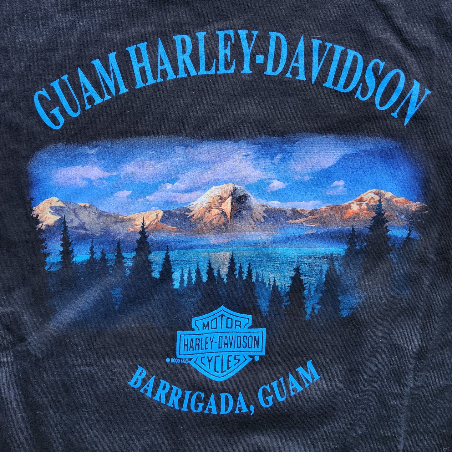 Vtg 2000 Harley Davidson Shirt Barrigada Guam Motorcycle Biker Horse USA Tee